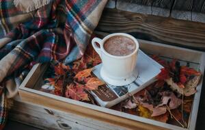 15 листопада у більшості областей України прогнозують похолодання