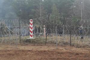 Прикордонна служба Польщі помітила рух серед мігрантів, із боку Білорусі з'явився автомобіль для телетрансляції
