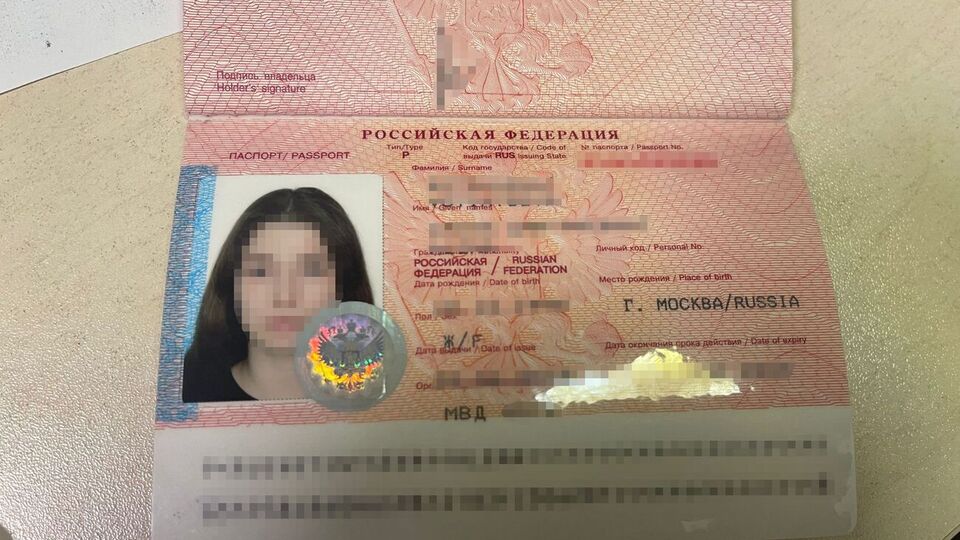 В Украину блогер прилетела рейсом из Варшавы