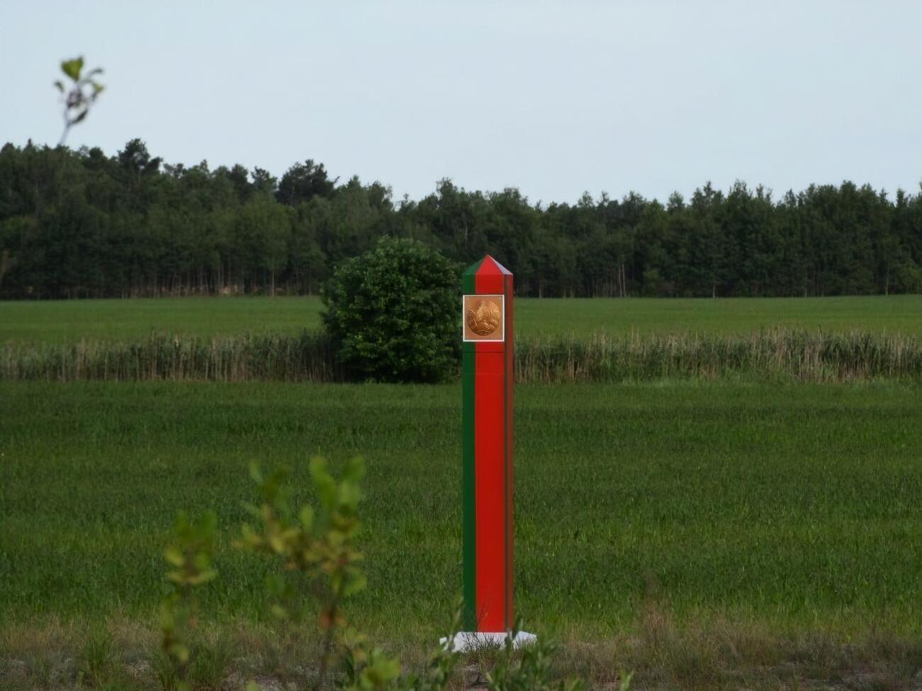 В случае обострения ситуации с мигрантами в приграничных c Беларусью областях Украины могут ввести режим ЧС