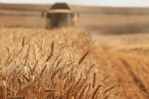 Урожай собран еще не весь