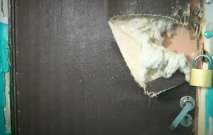 У Тернополі сектантки замкнулися у квартирі й відмовлялися від їжі та води