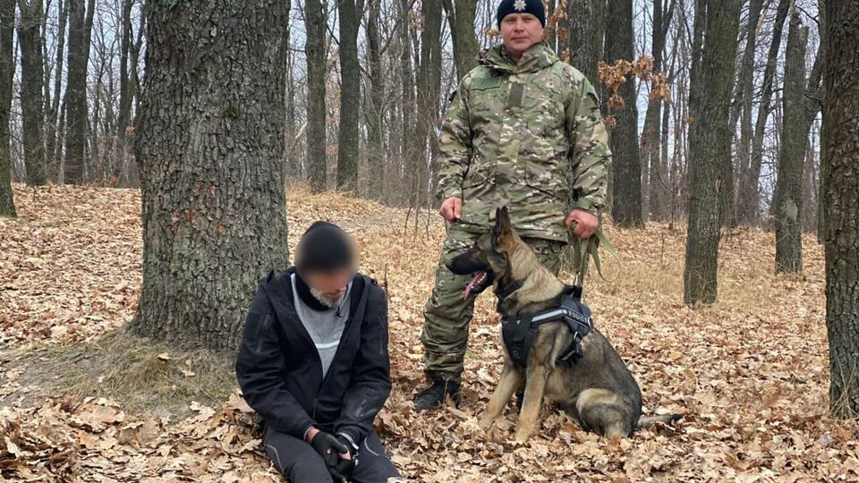 Овчарка Некст нашла одного из грабителей в лесу