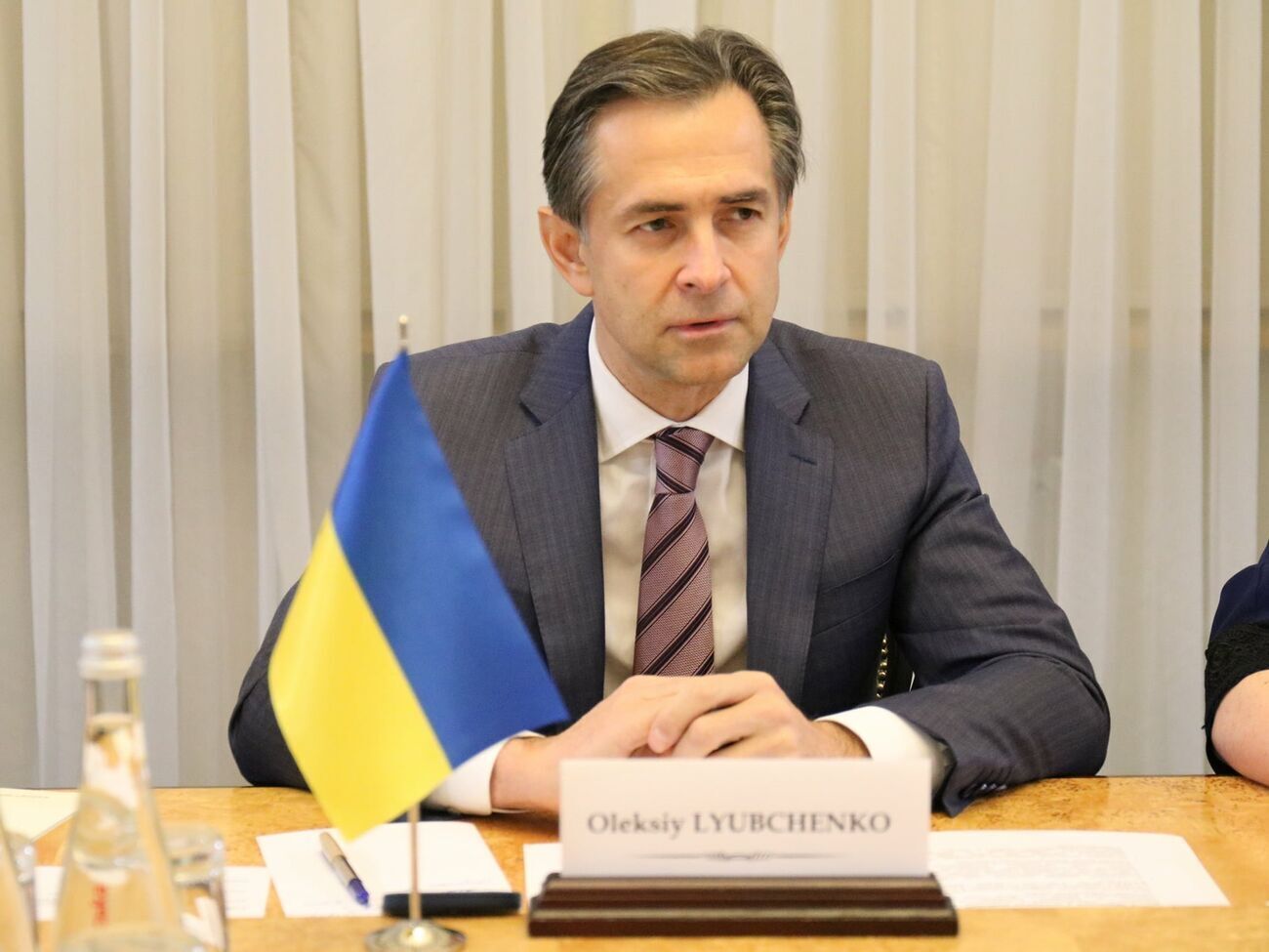 Верховна Рада призначила Любченка міністром економіки України 20 травня