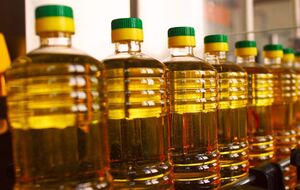 Агентство продало нерафинированное подсолнечное масло урожая 2019–2020 годов