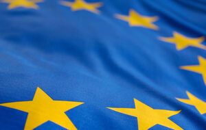 Представительство отмечает, что ЕС признает европейские стремления Украины и чествует всех боровшихся за них