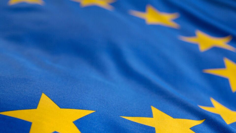 Представительство отмечает, что ЕС признает европейские стремления Украины и чествует всех боровшихся за них