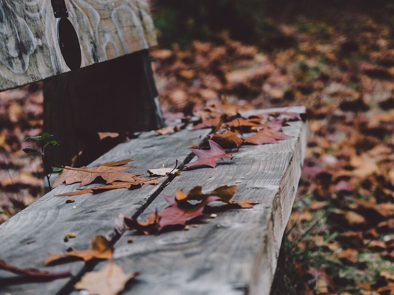 Среднемесячная температура ноября в Украине составляет 0...-4 &deg;С