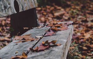 Среднемесячная температура ноября в Украине составляет 0...-4 °С