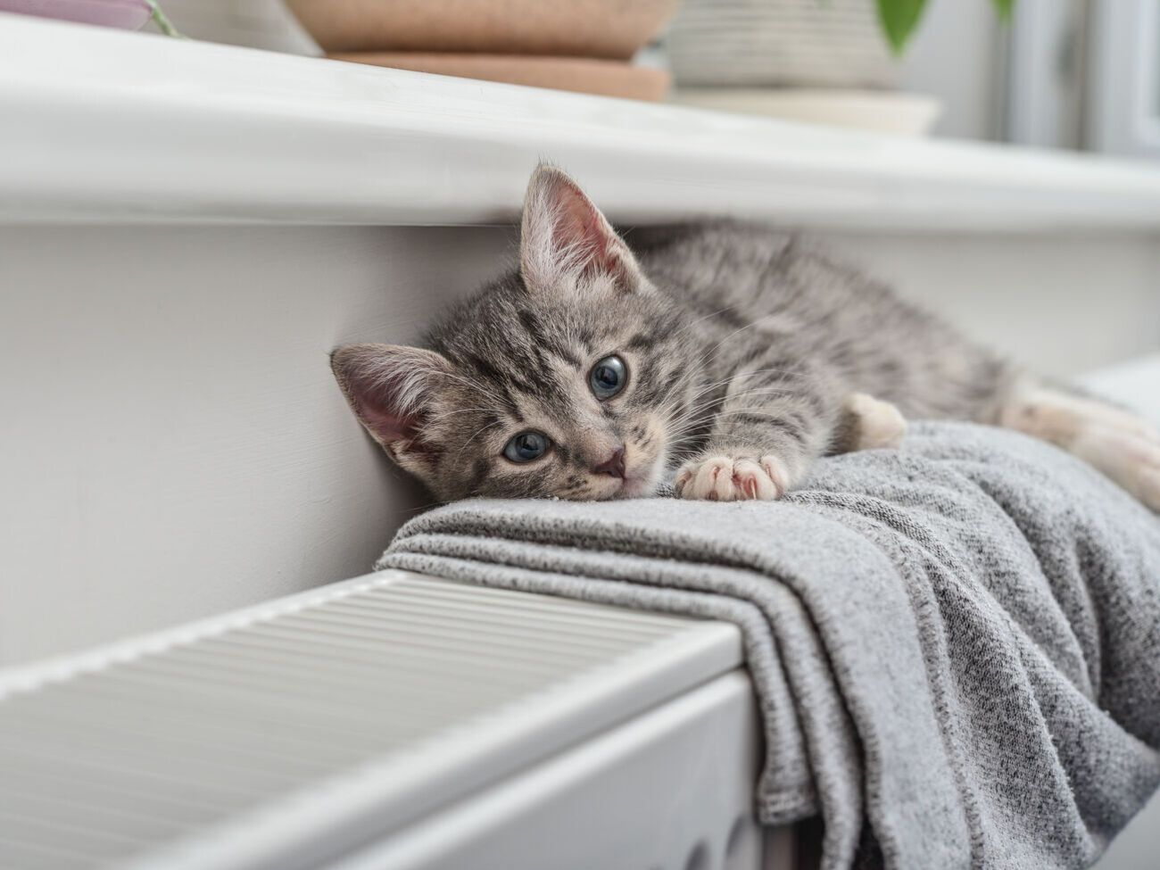 В уряді прогнозували, що опалення в усіх будинках увімкнуть до 1 листопада