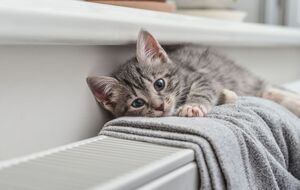 В правительстве прогнозировали, что отопление во всех домах включат до 1 ноября