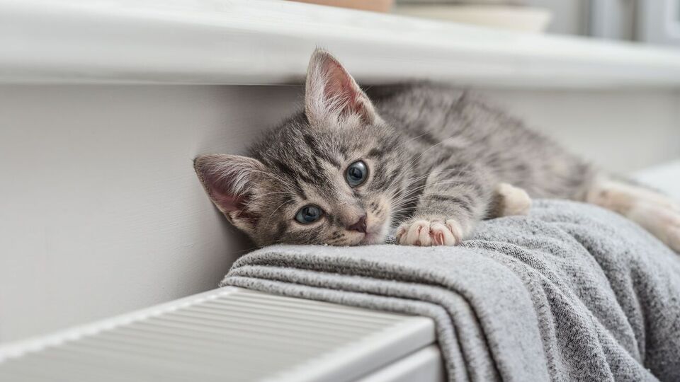 В уряді прогнозували, що опалення в усіх будинках увімкнуть до 1 листопада