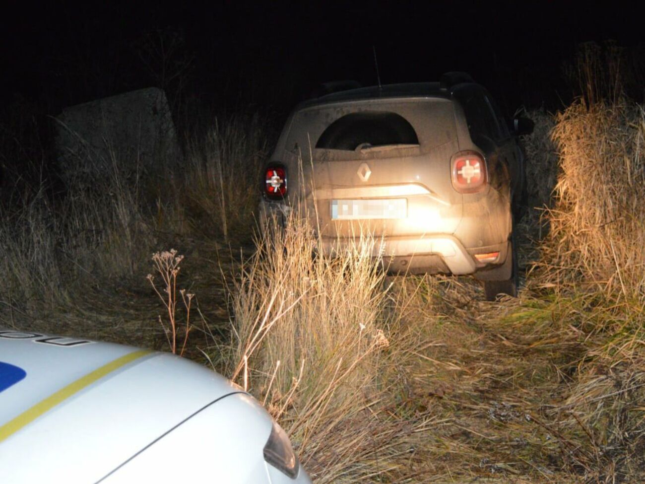 Водія Renault зупинили патрульні