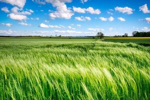 Сенниченко рассказал, что работа по возвращению земель продолжается