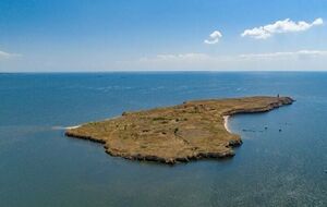 Инцидент произошел в Николаевской области