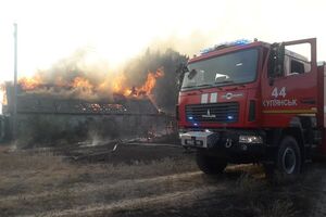 Від лісових пожеж у 2020 році найбільше постраждали Житомирська, Харківська, Луганська області