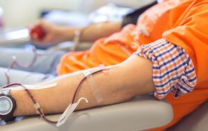 Отвечать за создание и функционирование реестра будут Министерство здравоохранения и Национальная служба здоровья Украины