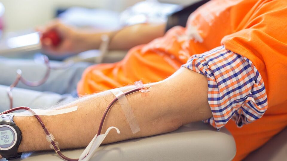 Отвечать за создание и функционирование реестра будут Министерство здравоохранения и Национальная служба здоровья Украины