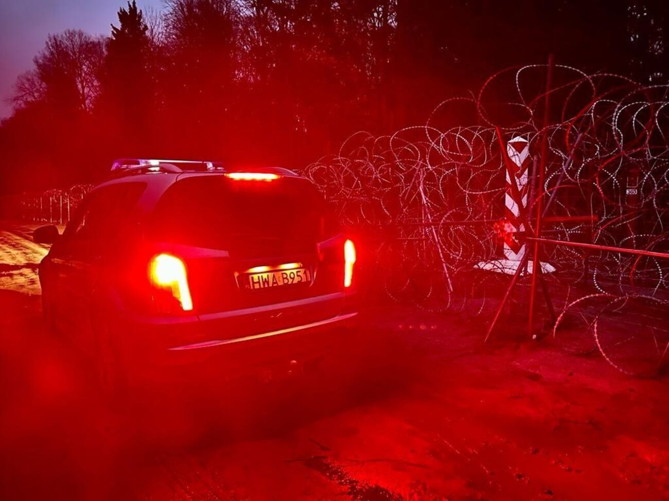 Польские пограничники 23 ноября зафиксировали 267 попыток нелегалов пересечь границу из Беларуси