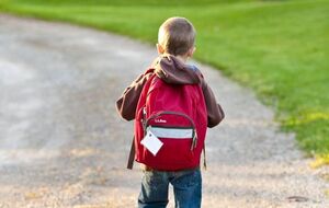 Побутову хімію хлопчик знайшов удома на холодильнику