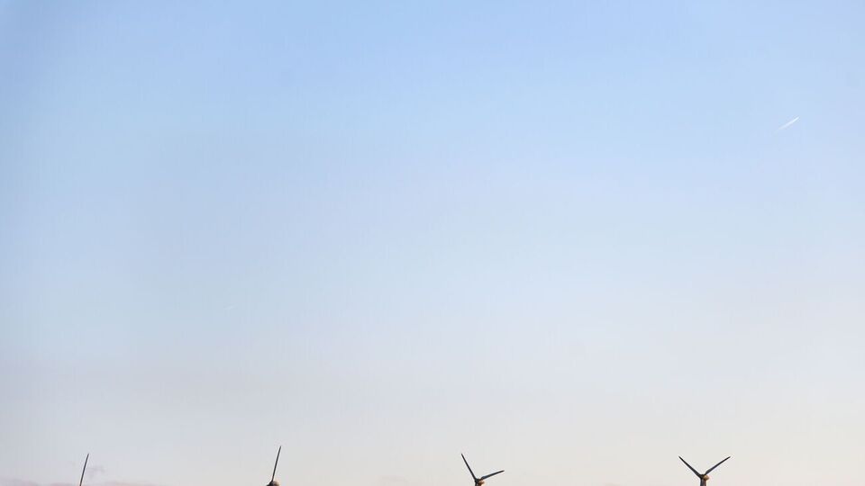 ДТЕК ВИЭ осталась единственной компанией, которой "Гарантированный покупатель" не заплатил, заявил гендиректор