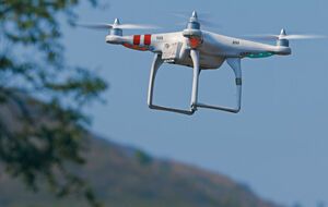 Дрон журналісти підняли над резиденцією "Синьогора"