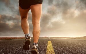 Луговой бежал из Владимира-Волынского до Львова и обратно