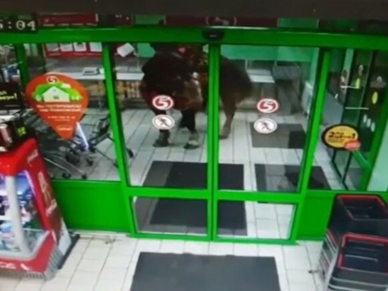 Мужчина пояснил, что лошадь захотела хлеба, поэтому он заехал на ней в магазин, чтобы предоставить ей право выбора товара