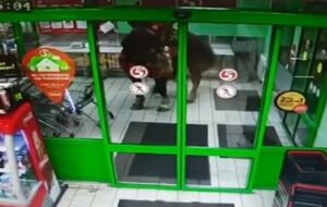Мужчина пояснил, что лошадь захотела хлеба, поэтому он заехал на ней в магазин, чтобы предоставить ей право выбора товара