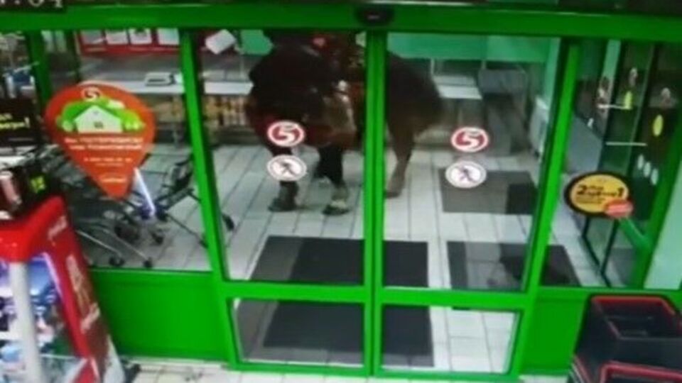 Мужчина пояснил, что лошадь захотела хлеба, поэтому он заехал на ней в магазин, чтобы предоставить ей право выбора товара