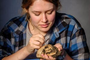 Археологи знайшли скелет спеціально похованого кота, знахідку вони назвали Максипусом