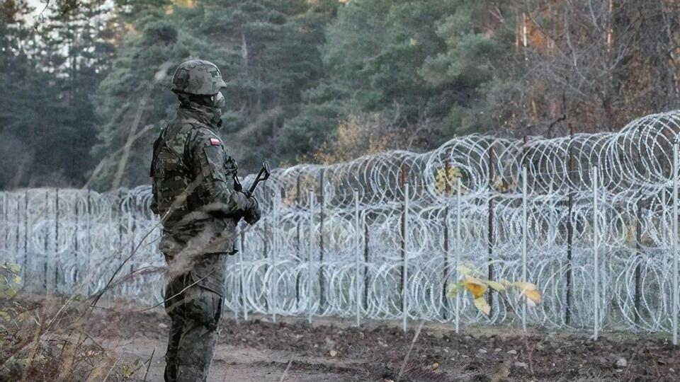 Из-за наплыва мигрантов власти Польши решили построить забор на границе с Беларусью