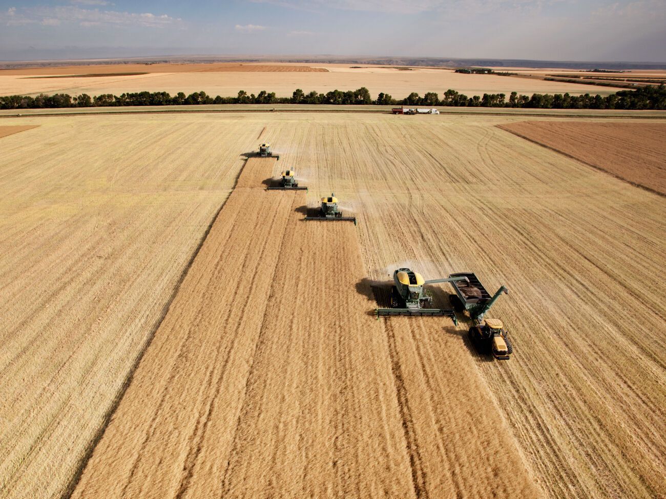 За последний месяц цены на продовольствие выросли почти на 4%