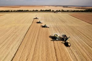 Упродовж останнього місяця ціни на продовольство зросли майже на 4%