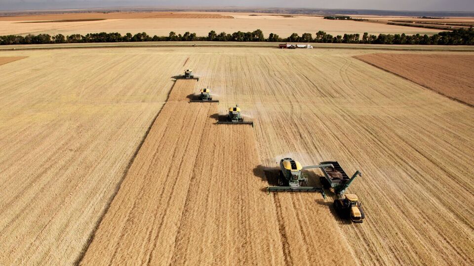 За последний месяц цены на продовольствие выросли почти на 4%