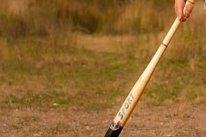 Битой якобы наказывали за то, что дети сами брали еду