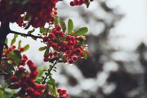 Уночі та вранці у південних областях України місцями можливий туман