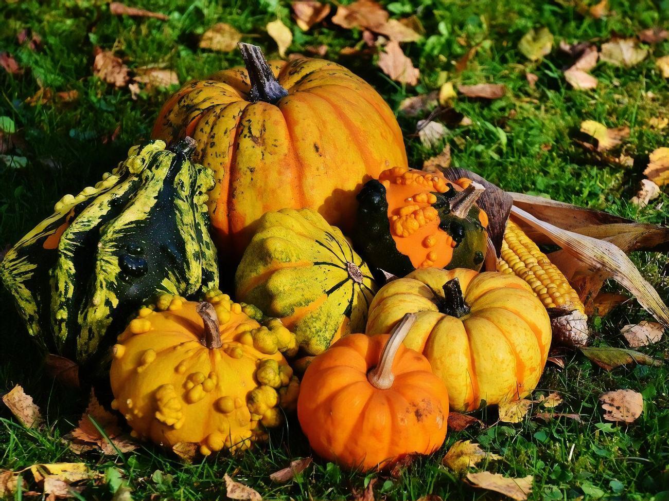 Фермер считает, что в этой ситуации виноваты потребители&nbsp;&ndash; они хотят видеть на прилавке ровные и красивые плоды