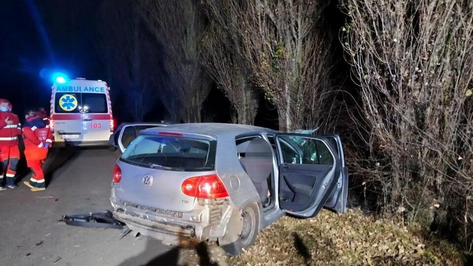 Водитель не справился с управлением и столкнулся с деревом, сообщили в полиции
