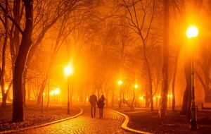 У Києві в ніч на 10 листопада прогнозують до -6 °C