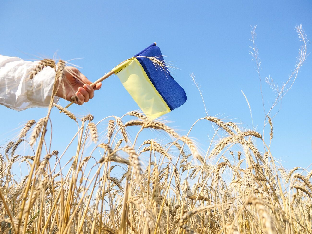 Для більшості українців рідна мова &ndash; українська