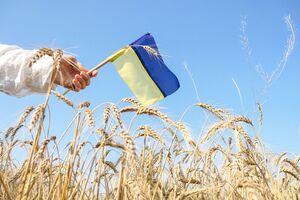 Для більшості українців рідна мова – українська