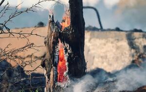 Дети сгорели заживо
