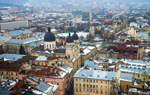 Во Львовском горсовете заявили, что "электронные торги – не только требование закона, это еще и потребность времени"