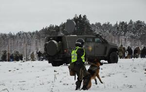 В учениях возле границы Беларуси принимали участие подразделения СБУ, Нацполиции, Госпогранслужбы и Нацгвардии