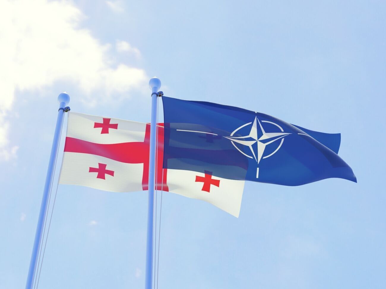 У грузинському МЗС наголосили, що членство в НАТО – суверенне рішення Грузії