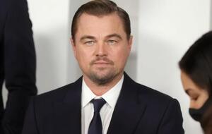 В новом доме ДиКаприо есть пять спален и шесть ванных комнат