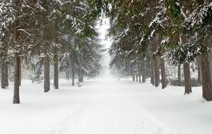 У західних областях України прогнозують сніг