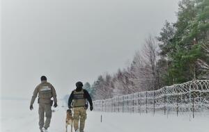 В этом году в странах Евросоюза, граничащих с Беларусью, обострилась проблема нелегальной миграции из стран Ближнего Востока