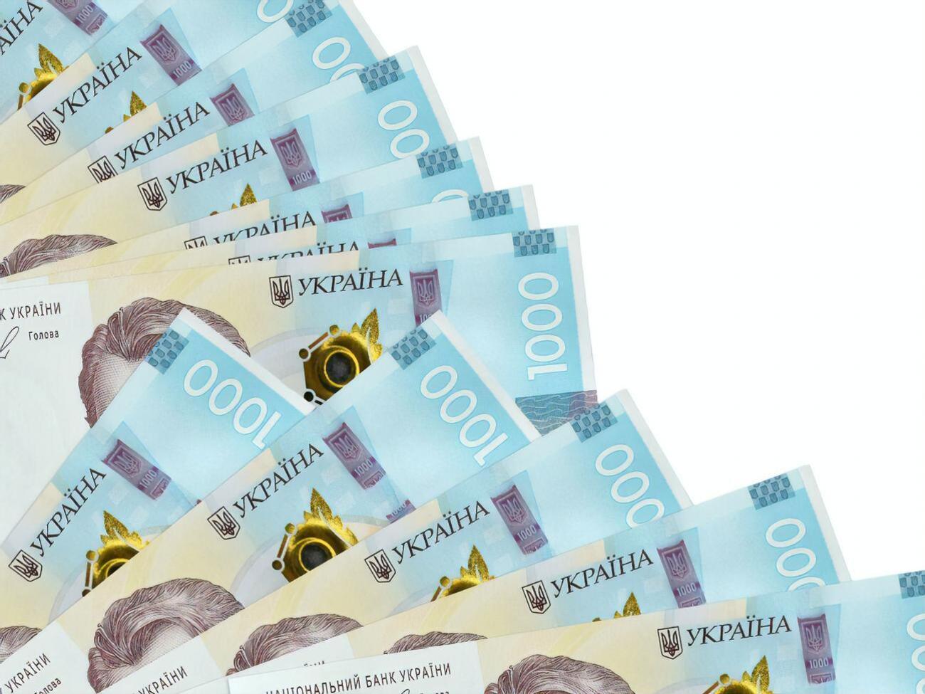 Проект "єПідтримка" по выделению 1 тыс. грн стартует 19 декабря